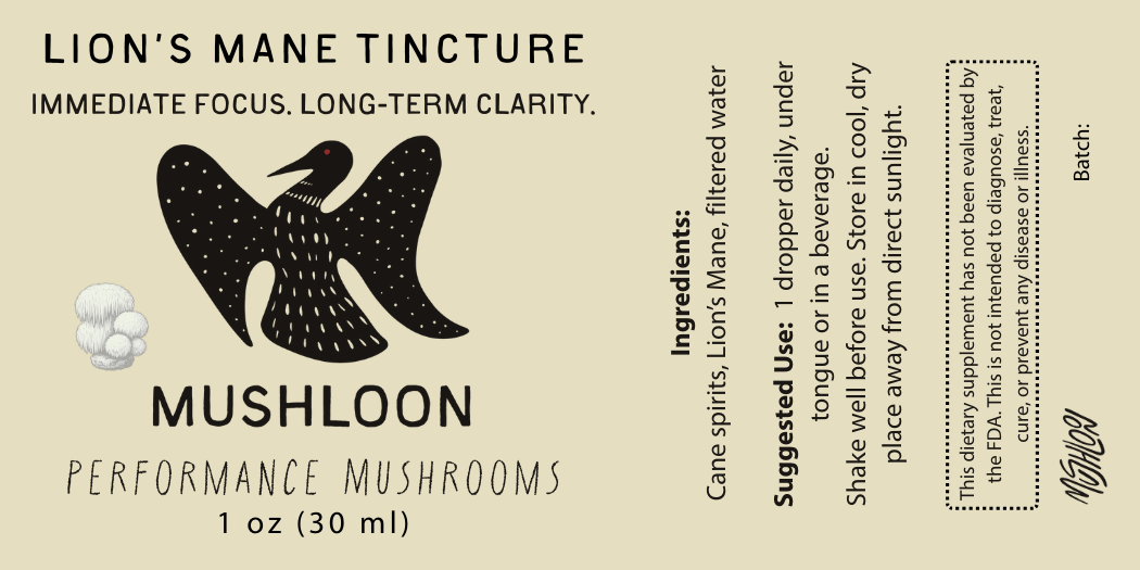 Lion's Mane Tincture